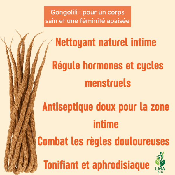 INFUSION DE GONGOLILI – Image 3