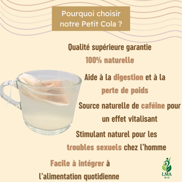 INFUSION DE PETIT COLA – Image 2