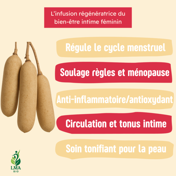 INFUSION DU FRUIT DE KIGELIA – Image 3
